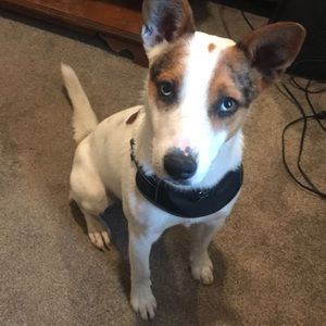 Meet your Posher, Matthew